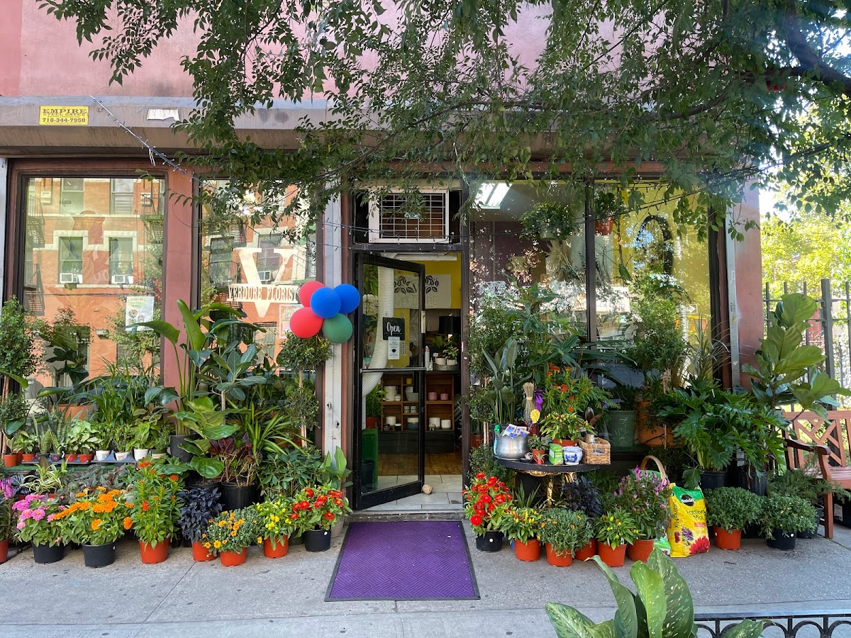 Verdure Florist storefront on Malcolm X Boulevard in Bedford-Stuyvesant, Brooklyn
